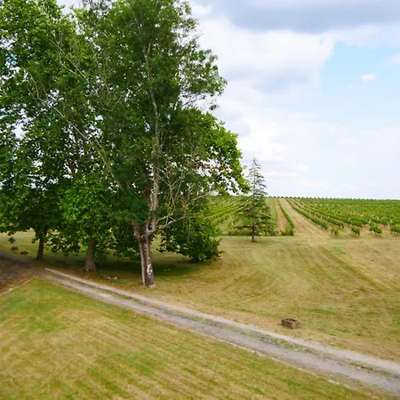 Maison Bourgeoise Dans Un Vignoble Villa Soussac