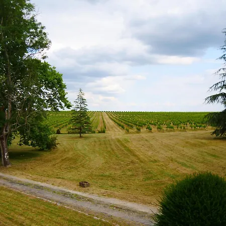 Maison Bourgeoise Dans Un Vignoble *