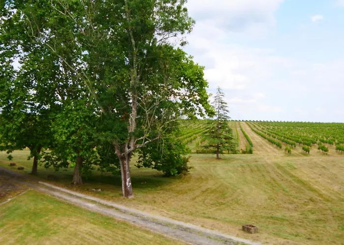 Maison Bourgeoise Dans Un Vignoble Villa Soussac
