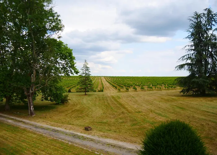 Maison Bourgeoise Dans Un Vignoble *